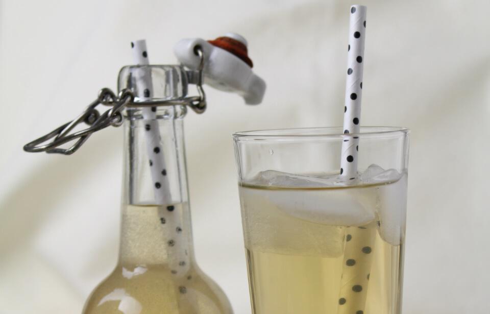 kombucha
