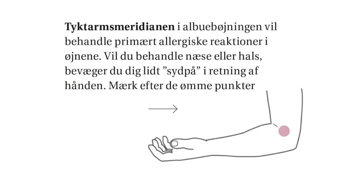 Guide til at finde tyktarmsmeridianen for at behandle allergi