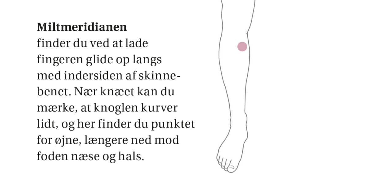 Guide til at finde miltmeridianen for at afhjælpe allergi med akupressur